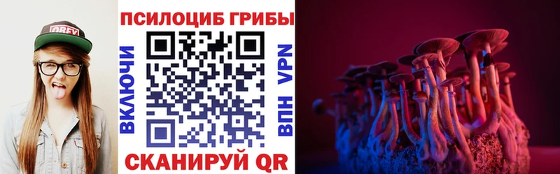 Псилоцибиновые грибы Psilocybine cubensis  Ардон 